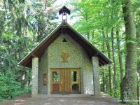 Lepa nedelja na čast sv. Jožefu delavcu